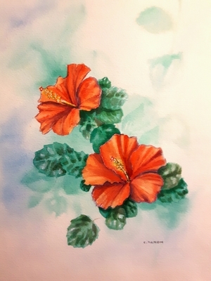 Alice's Hibiscus