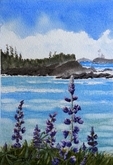 Black Rock Lupine I