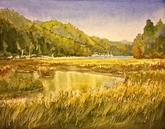 Goldstream Estuary