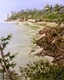 Tonquin Beach Lookout